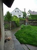 Třibřichy