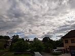 Olešná