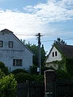 Třibřichy
