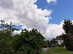 Olešná