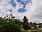 Olešná