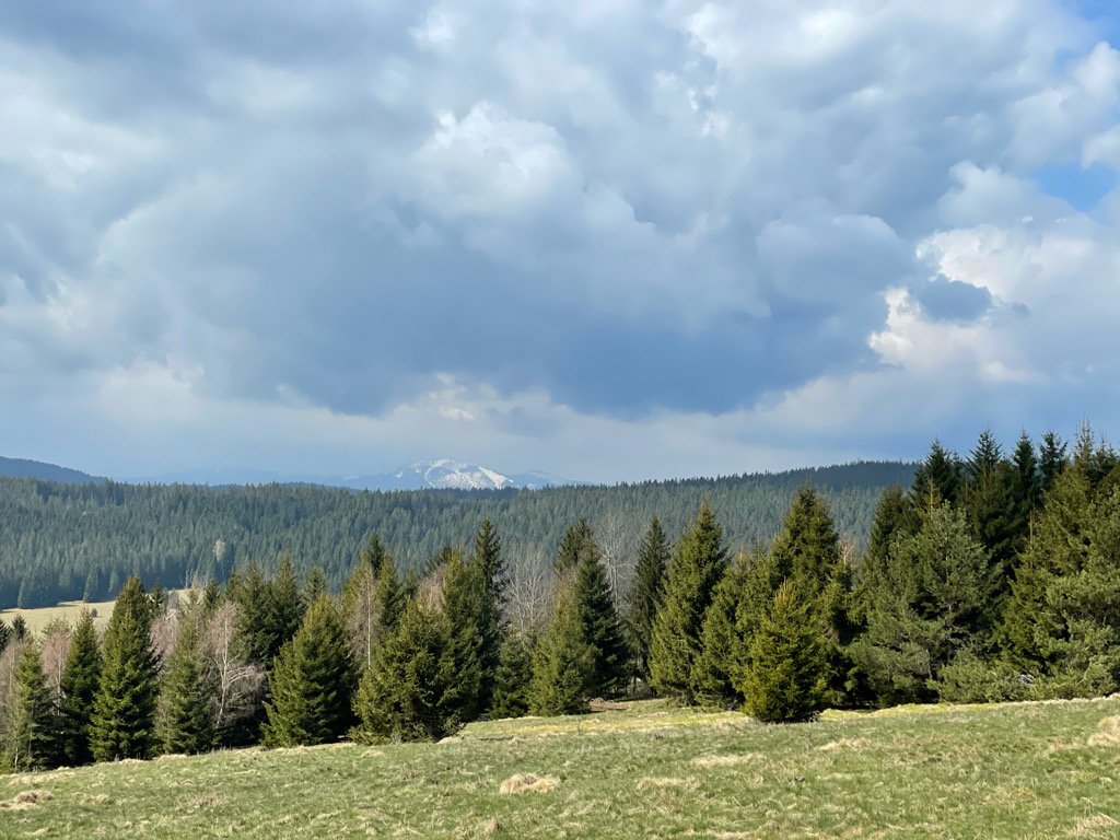 Hadí vrch