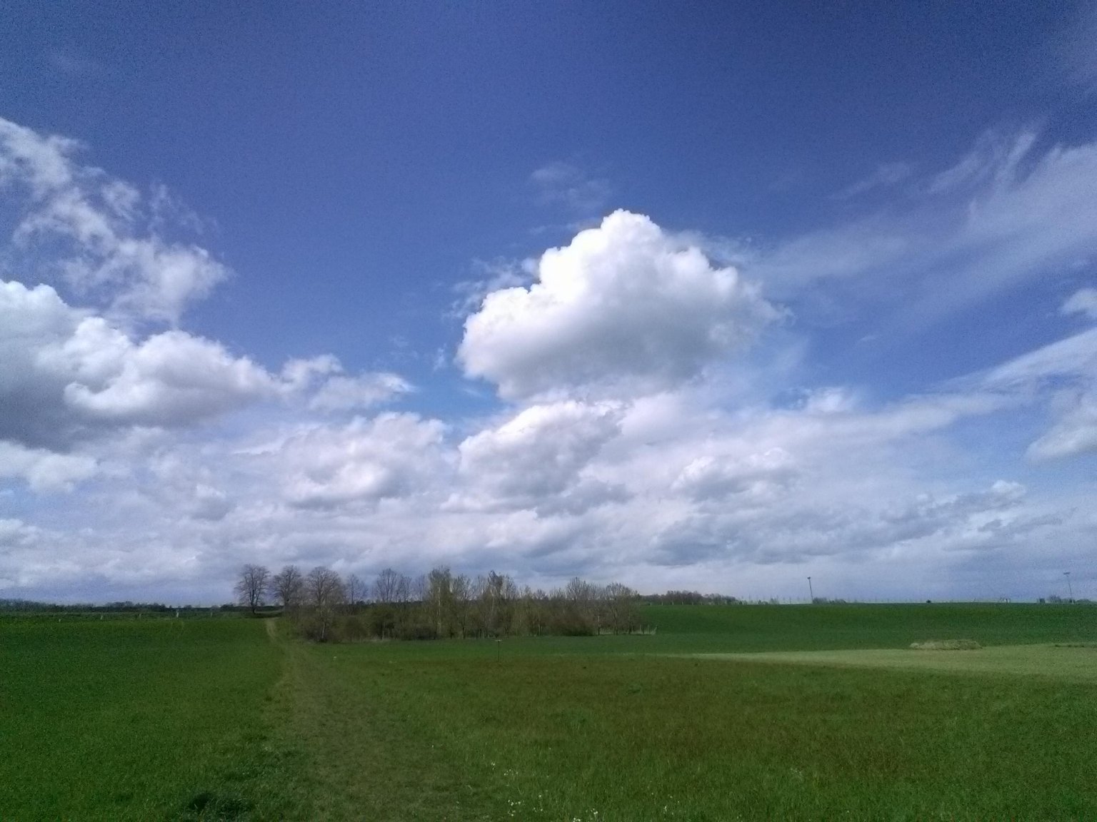 Luže