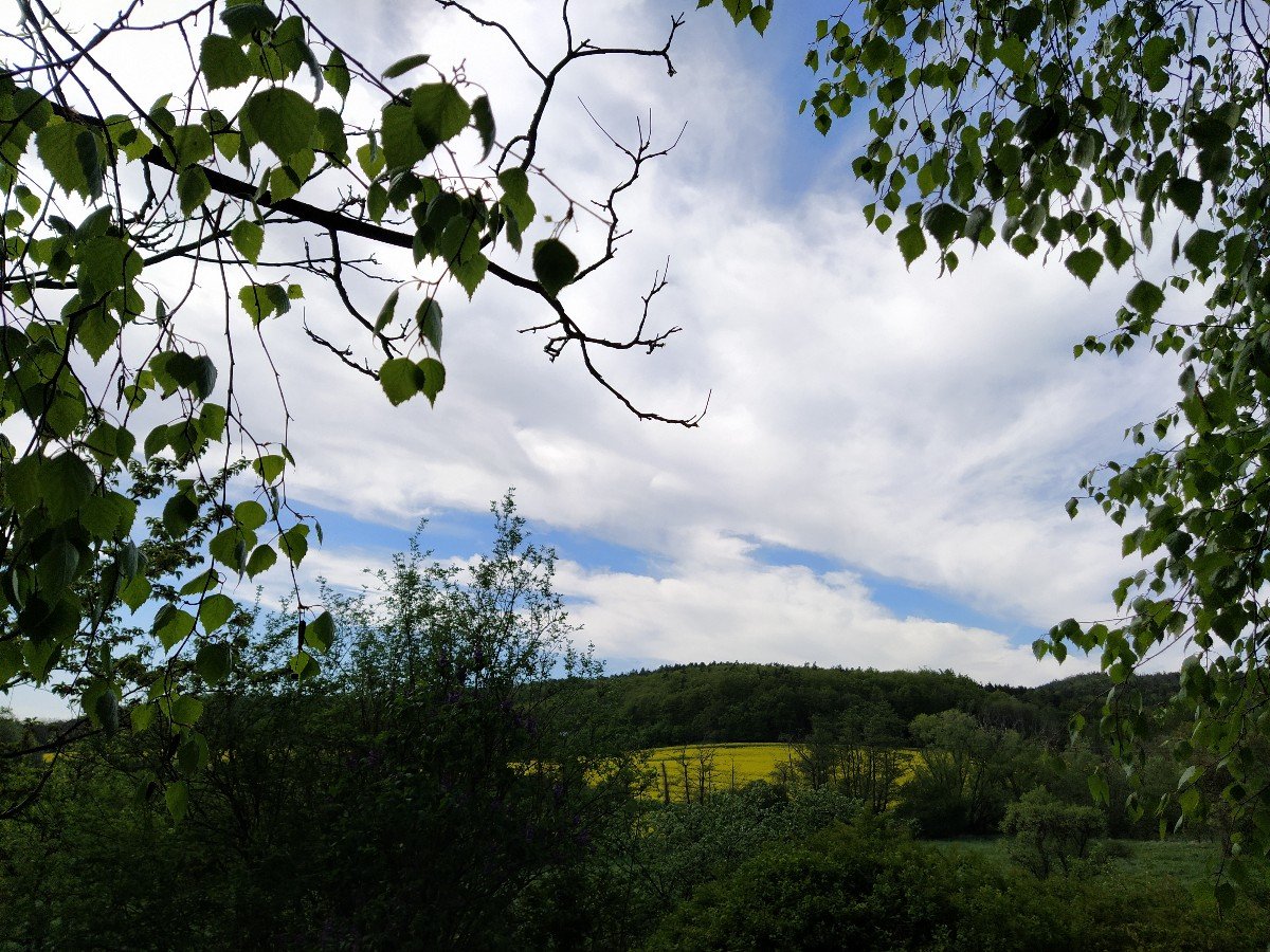 Habrovany