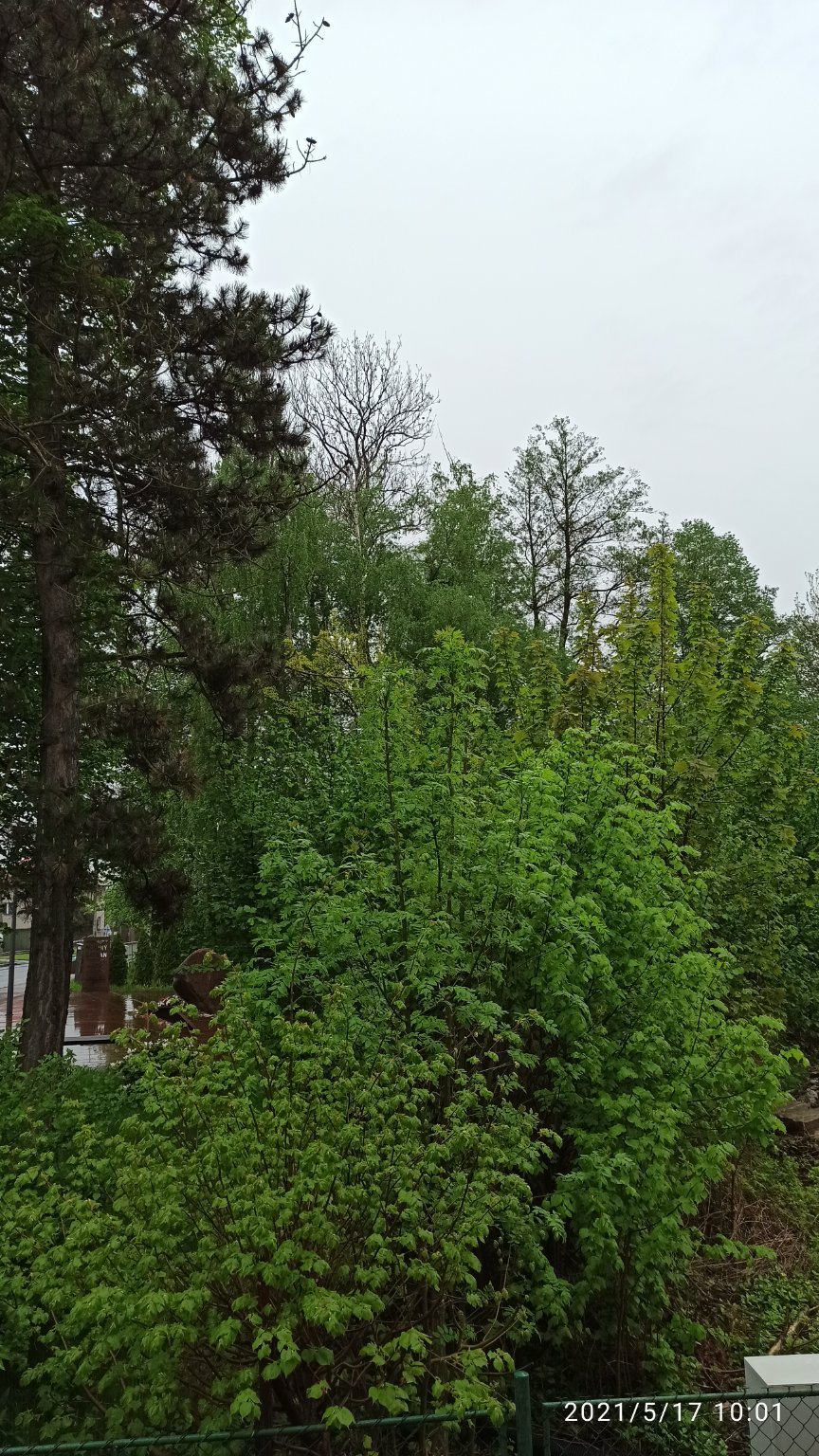 Ostrava-Poruba