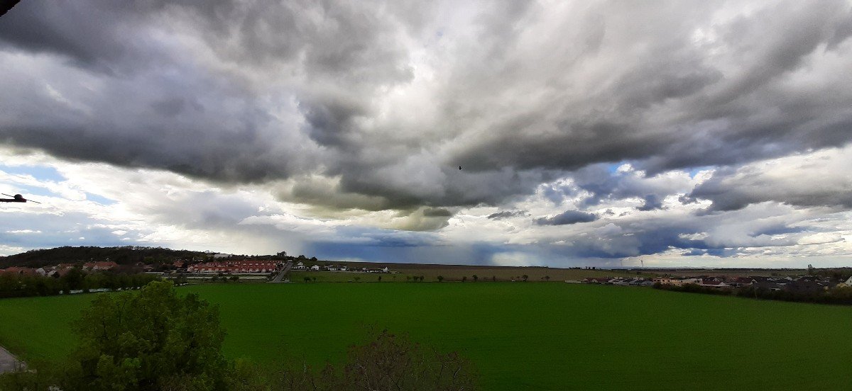 Vinařice