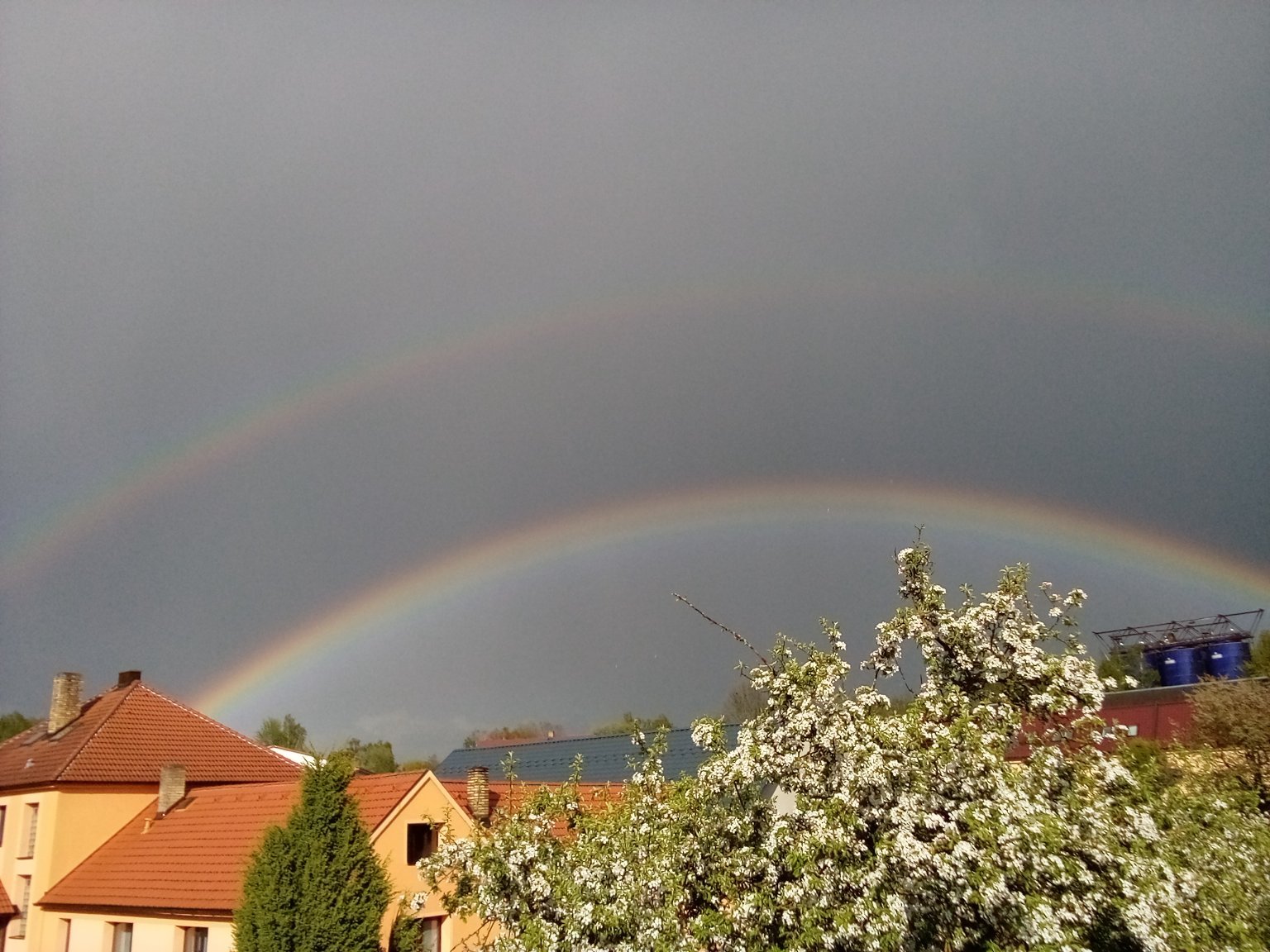Olešná