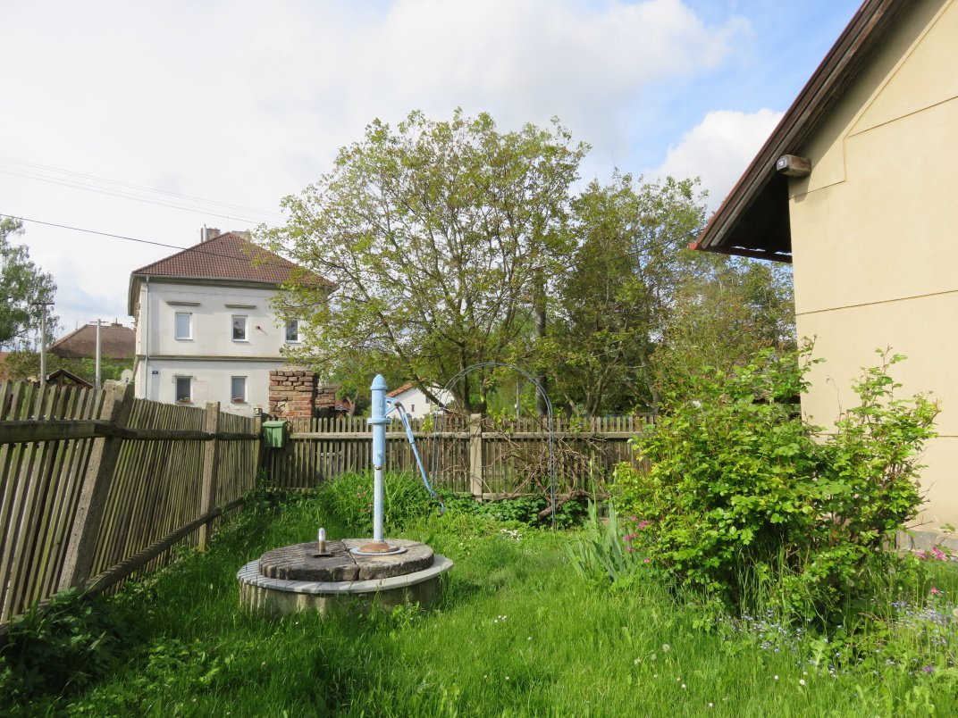 Třibřichy