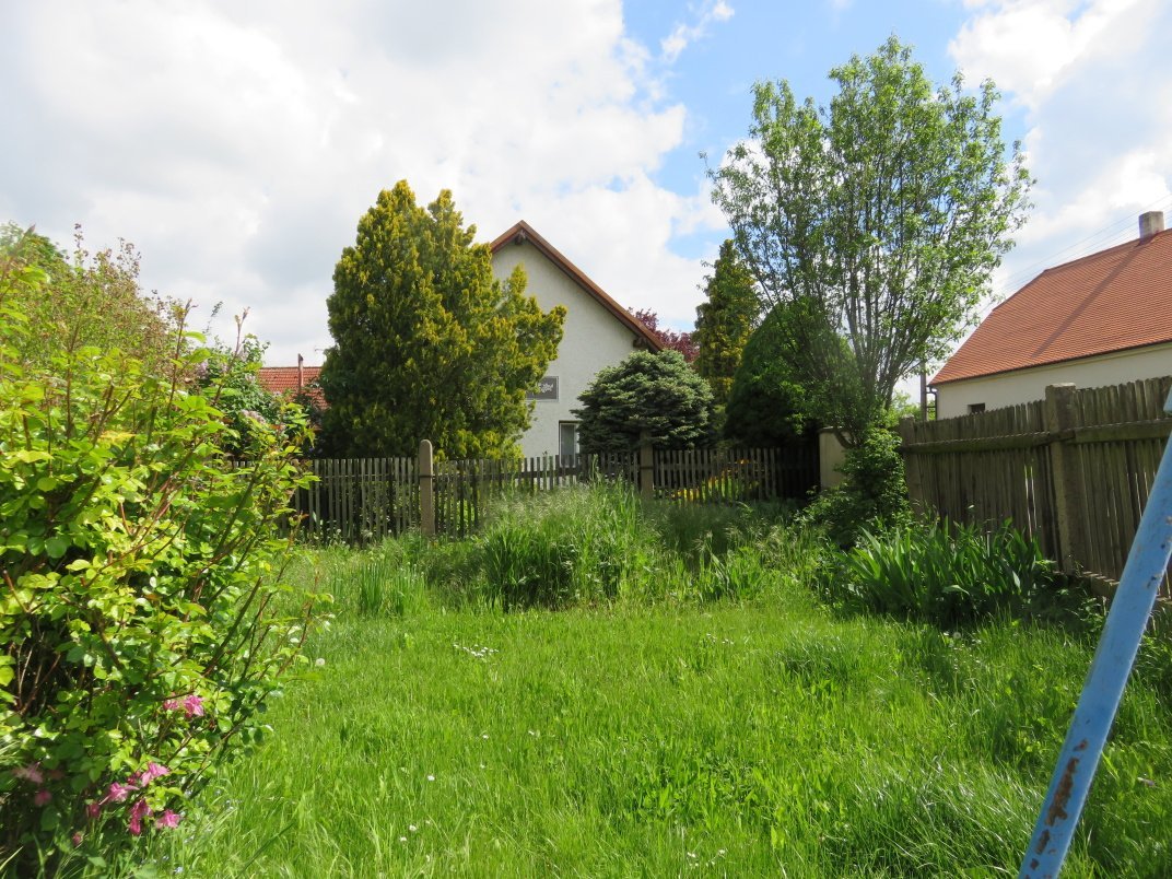 Třibřichy