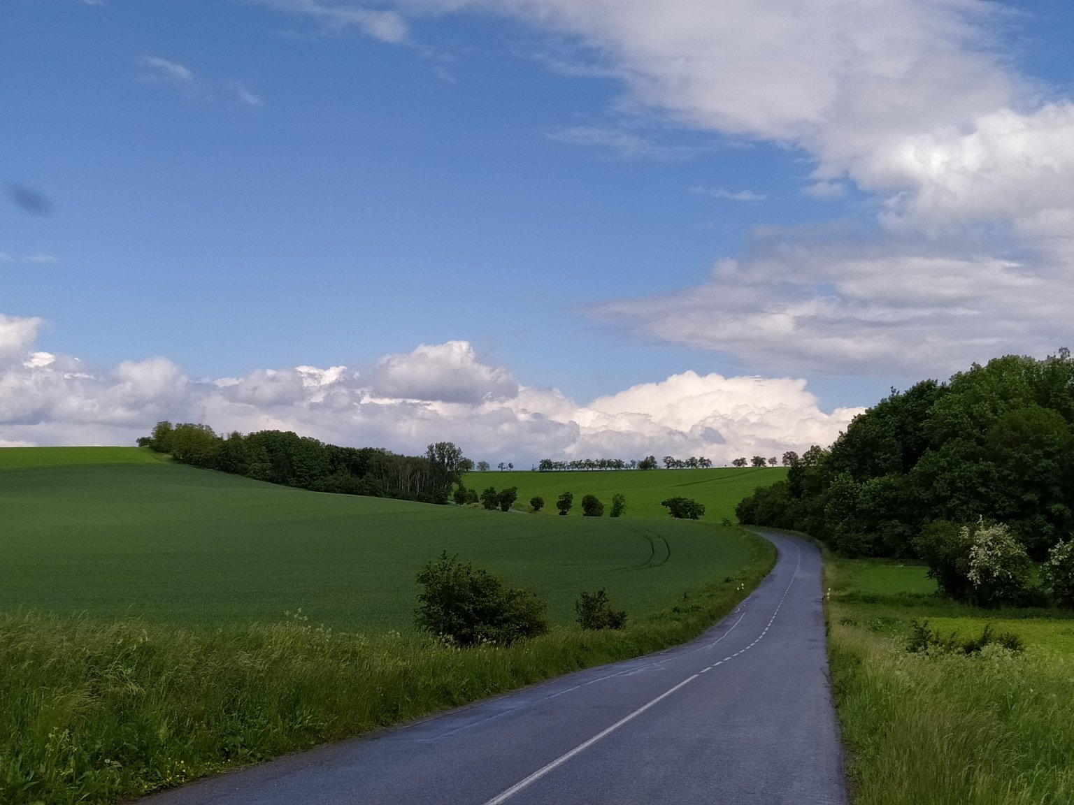 Dobromilice