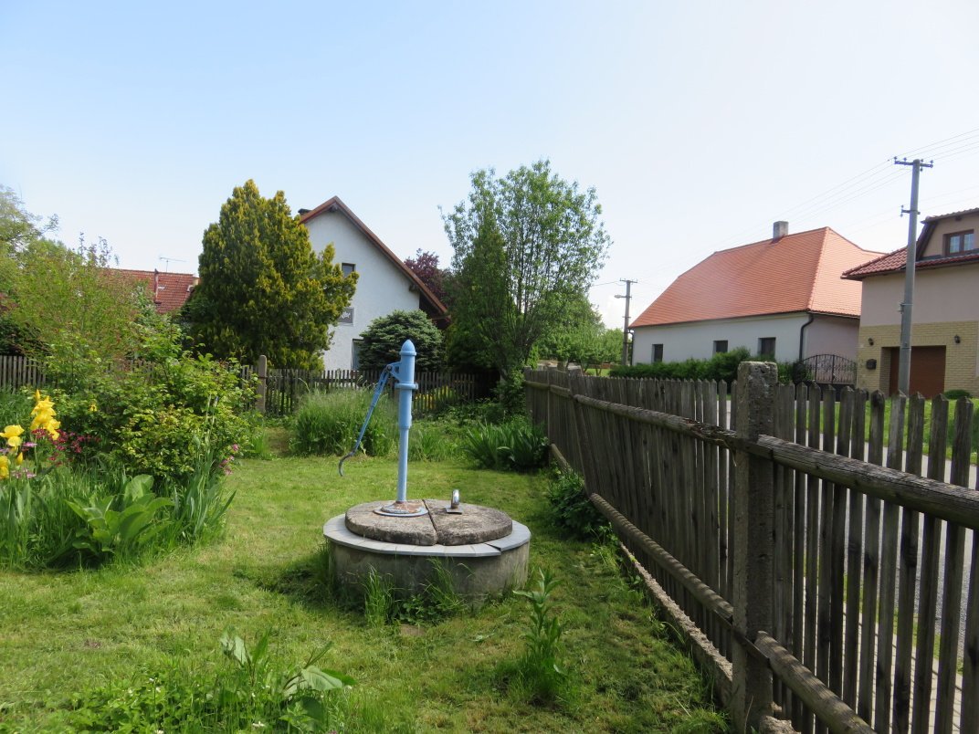 Třibřichy