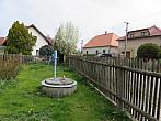 Třibřichy