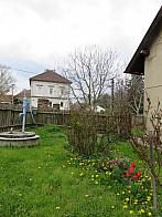 Třibřichy