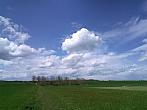 Luže