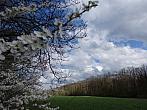 Dětenice-Brodek