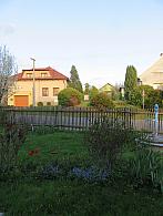 Třibřichy
