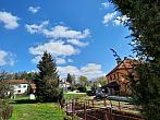 Olešná