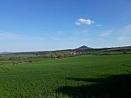 Podsedice