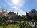 Třibřichy