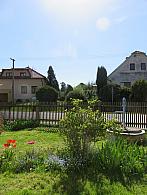 Třibřichy