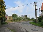 Třibřichy