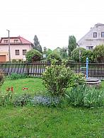 Třibřichy