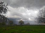 Plužná
