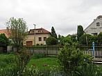 Třibřichy