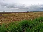 Císařov