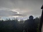 Olešná