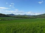 Podsedice