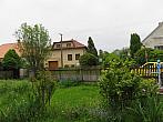 Třibřichy