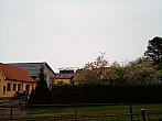 Olešná
