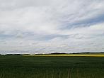 Hostákov