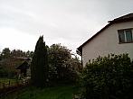 Olešná