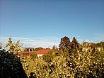 Olešná