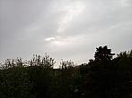 Olešná