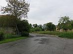 Třibřichy
