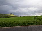 Podsedice