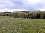 Podsedice
