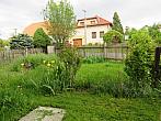 Třibřichy