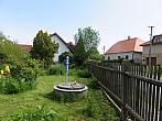 Třibřichy