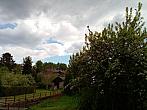 Olešná