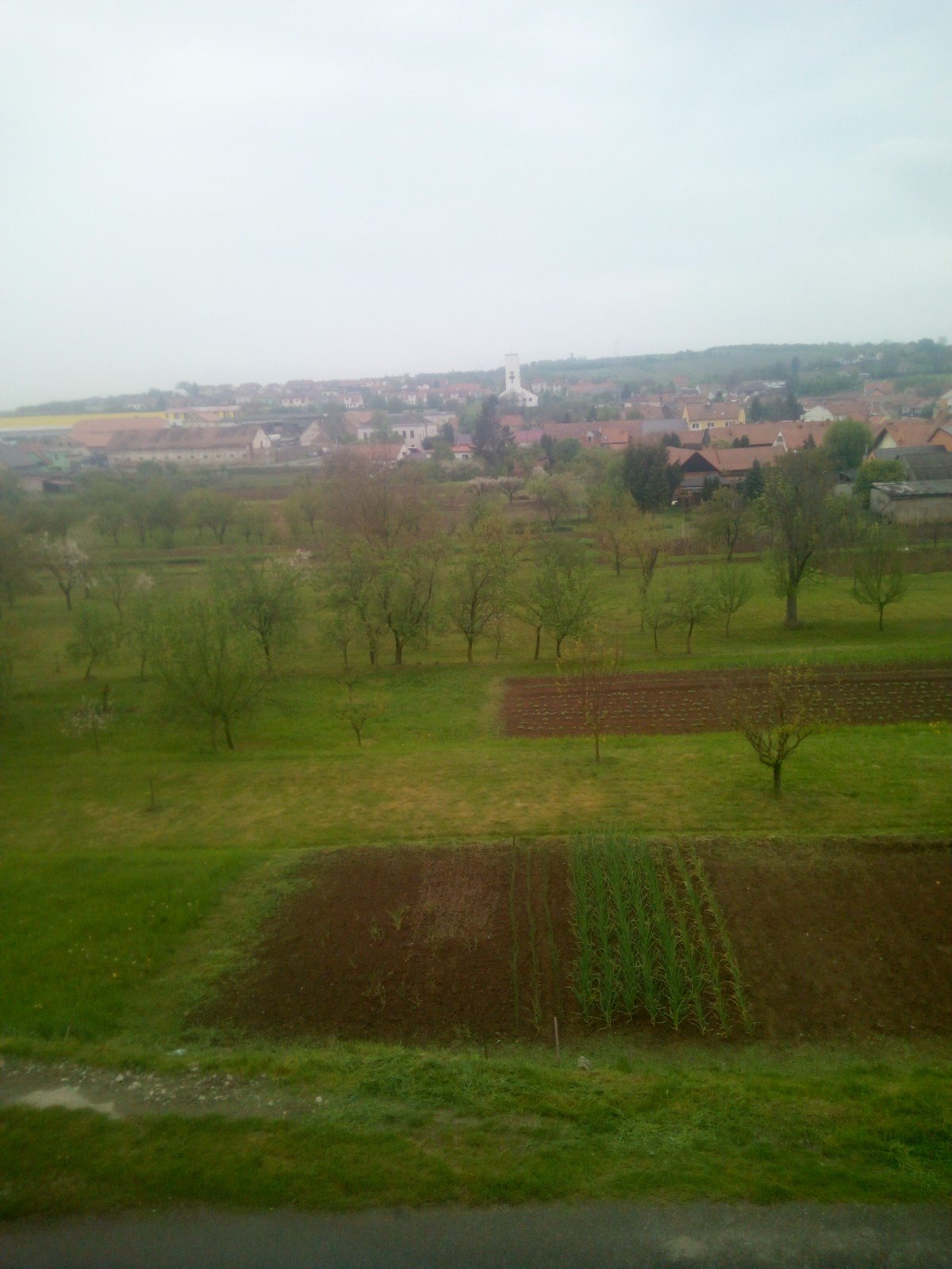 Žádovice