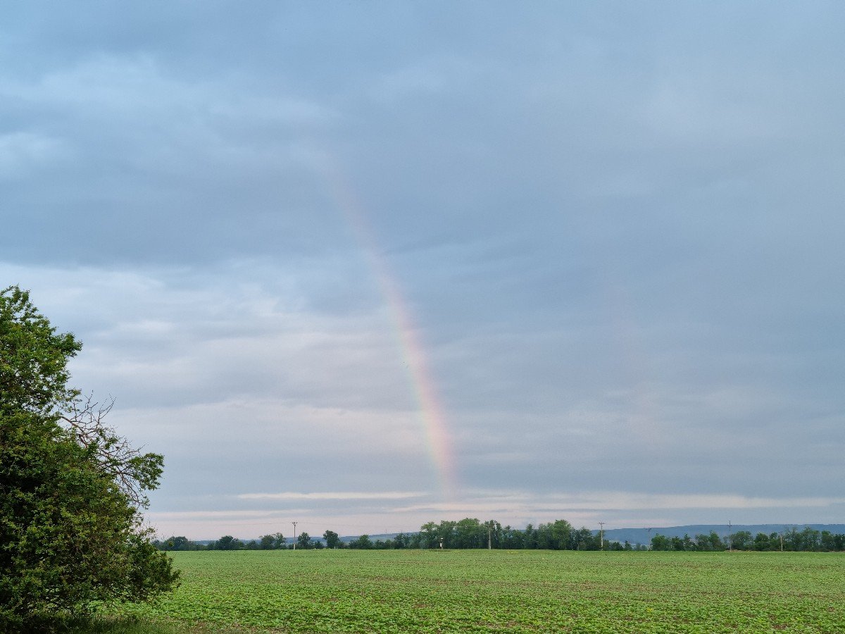 Odrovice