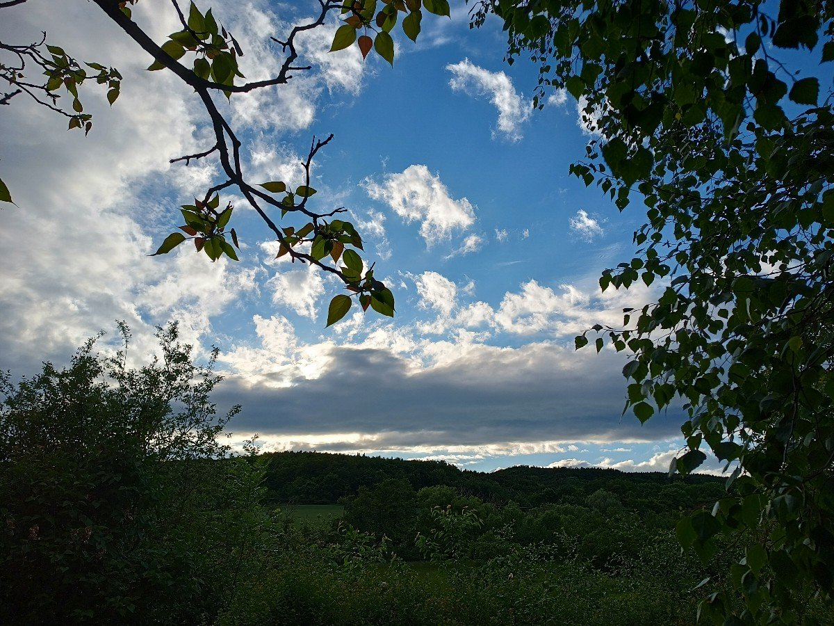 Habrovany