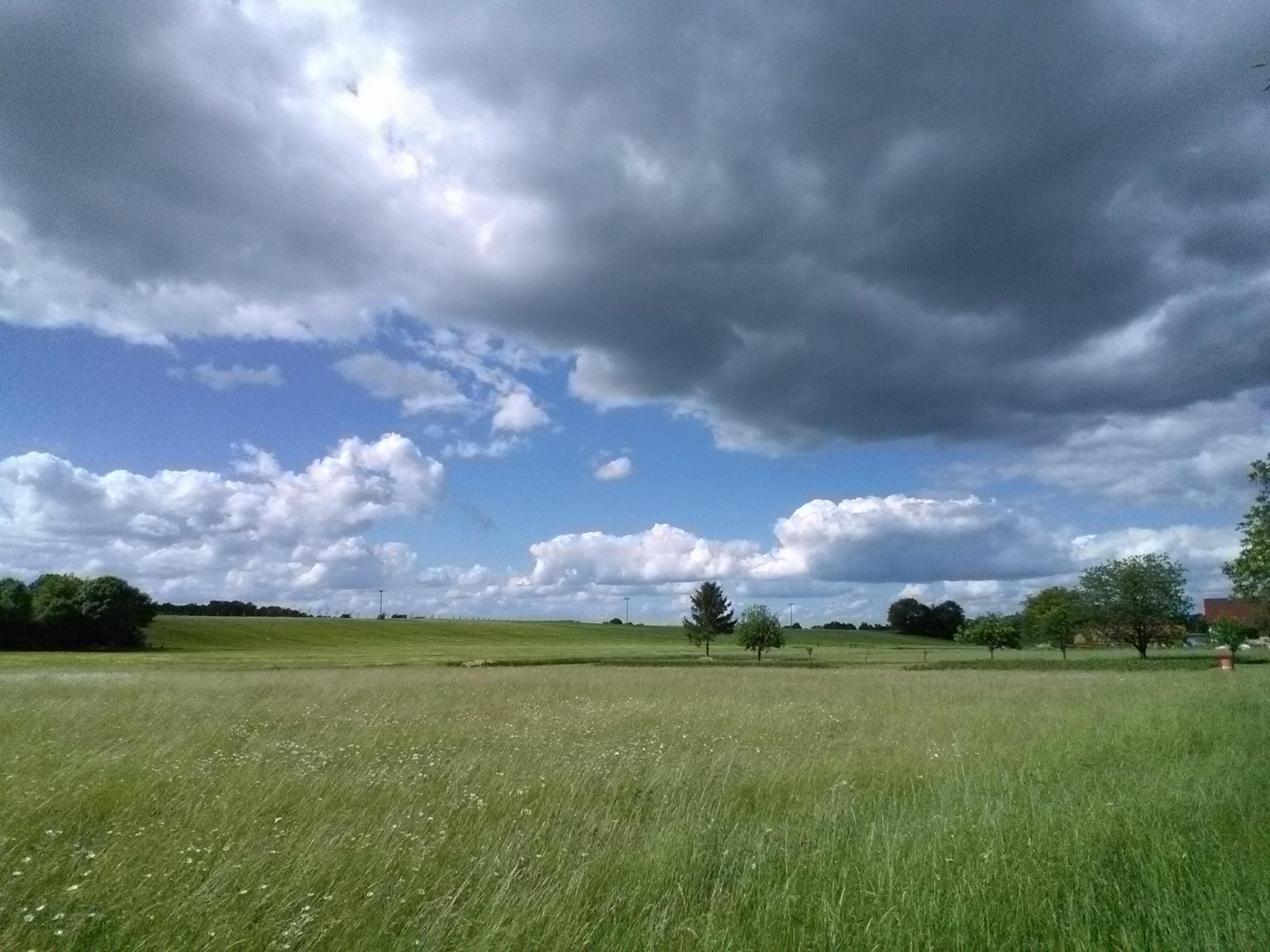 Luže