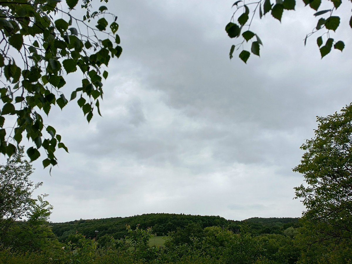 Habrovany