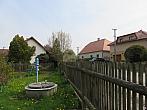 Třibřichy