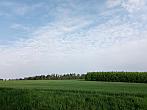 Lukovany